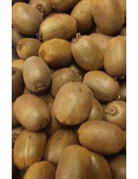 Kiwi BIO