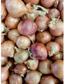 Oignon de Roscoff en Vrac vendu à l'unité