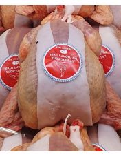 Pigeon Bard? cru ? l'unit?