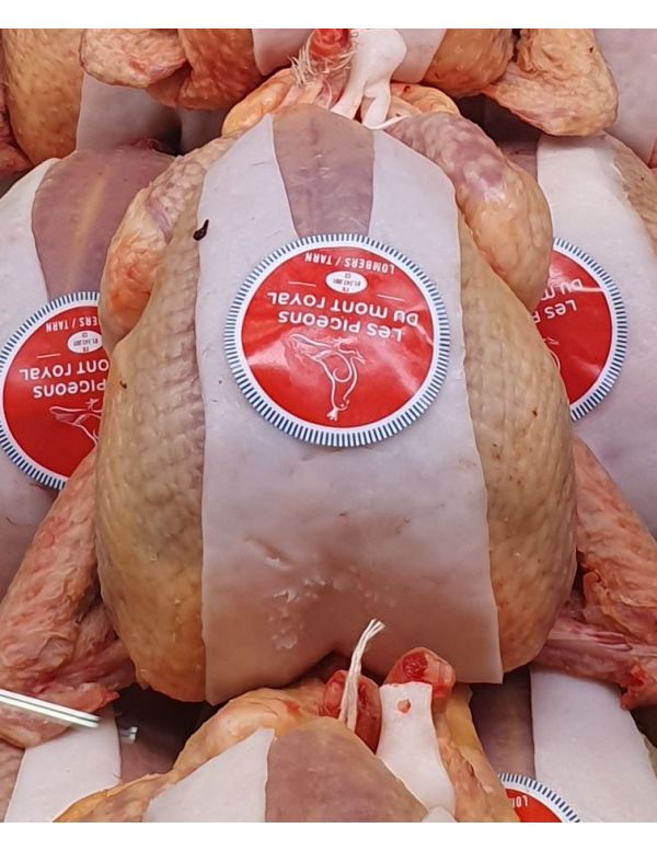 Pigeon Bardé cru à l'unité