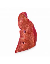 Foie de veau pr?t ? cuire