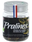 Pralines de Courges sucrées - Les Graines de Louise