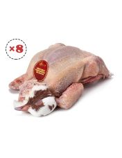 Pigeons de Racan par lot de 8