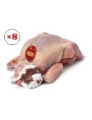 Lot de 8 pigeonneaux de Racan