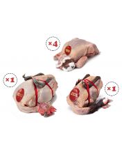 Lot d?couverte Volaille de Racan - 4 Pigeons + 1 Pintade + 1 Poulette