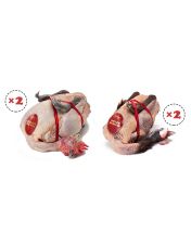 Lot 2 Pintades de Racan + 2 Poulettes de Racan