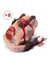 Pintade de Racan crue par lot de 5