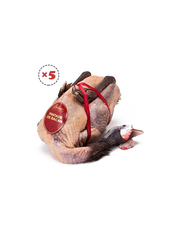 Lot de 5 pintades de Racan prêtes à cuire