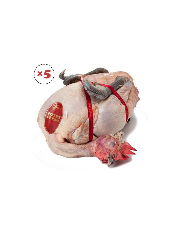 Lot de 5 poulettes de Racan prêtes à cuire
