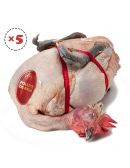 Lot de 5 poulettes de Racan prêtes à cuire