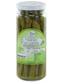Asperges vertes des Landes Bio