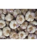 ail violet vrac 500 g origine France Jemangefrancais.com