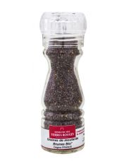 Moulin ? Graines de moutarde brune BIO en 70 g