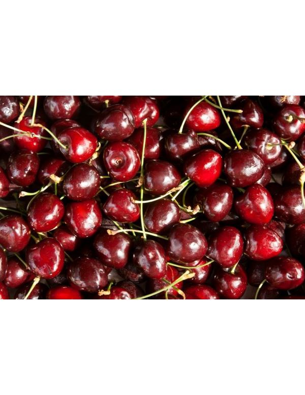 Cerise Bio Burlat en Vrac 500 g