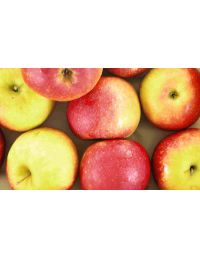 Pomme Dalinette Bio au kilo