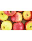 Pomme Dalinette Bio au kilo