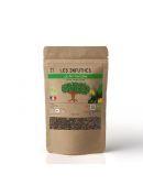 Thé Vert Bio Citron en Vrac - Les Infuthés