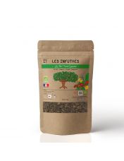 Th? Vert Bio Cannelle en Vrac - Les Infuth?s