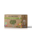 Maté Agrumes Bio - Boîte de 20 Sachets - Les Infuthés