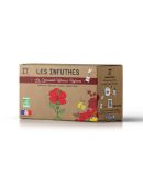 Carcadet Hibiscus Réglisse Bio - Boîte de 20 Sachets - Les Infuthés