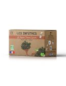 Rooibos Pomme Cannelle - Boîte de 20 Sachets - Les Infuthés
