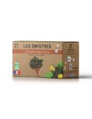Rooibos Citron Basilic Bio - Boîte de 20 Sachets - Les Infuthés