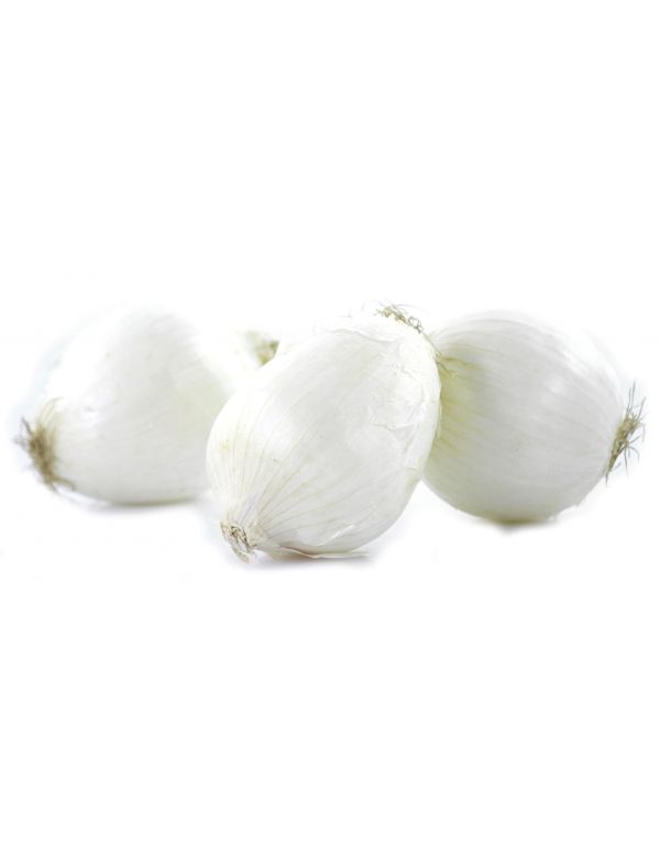 Oignon Blanc