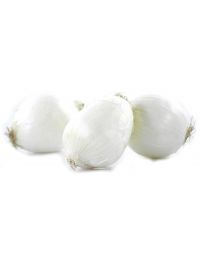 Oignon Blanc