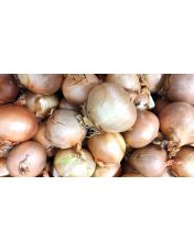 Oignon Jaune ? l'unit?