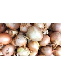 Oignon Jaune en Vrac