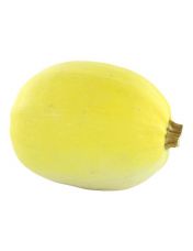 Courge Spaghetti Origine France