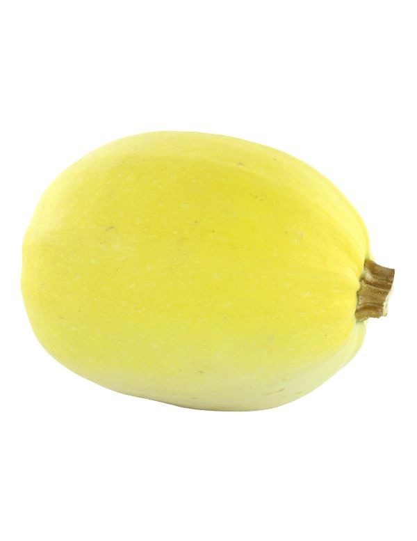 Courge Spaghetti Origine France