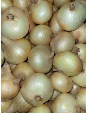 Oignon Doux Origine France