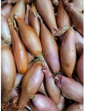 ?chalion origine France calibre 20/40