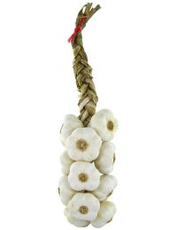 tresse d'ail blanc