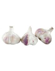 T?te d'Ail Violet de Cadours AOP par Lot de 3