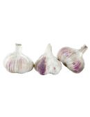 Tête d'Ail Violet de Cadours AOP lot de 3