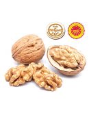 Noix du Périgord AOP calibre 32 origine France