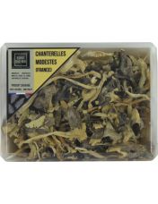 Chanterelles Modestes s?ch?es - Esprit sous-bois