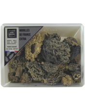Morilles S?ch?es Extra - Esprit sous-bois