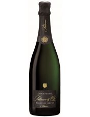 Champagne Blanc de Noirs - Palmer & Co