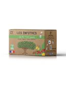 Boite de thé vert cannelle