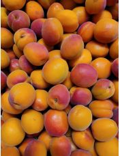 Abricot origine France - Vrac 500 g