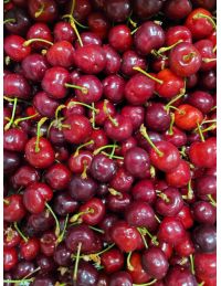Cerises des coteaux du Ventoux IGP
