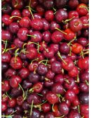 Cerises des coteaux du Ventoux IGP