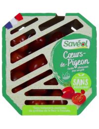 Tomate cœur de pigeon sans pesticides