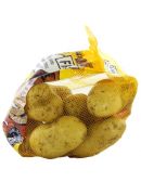 Pomme de terre pour frites