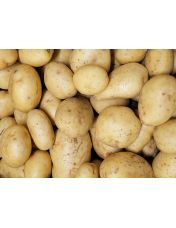 Pomme de terre Agata vrac 1 kg - Origine France