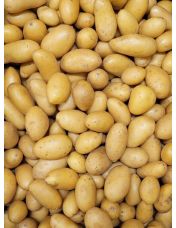 Pomme de terre grenaille vrac 1 kg - Origine France