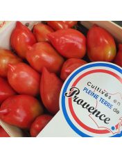 Tomates Cornues pleine terre origine France - Vrac 1 kg